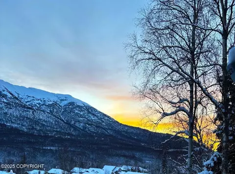 Other - 20686 Icefall Dr, Eagle River, AK 99577 photo 14 of 17