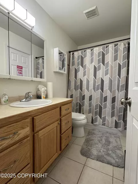 Bath - 20686 Icefall Dr, Eagle River, AK 99577 photo 4 of 4