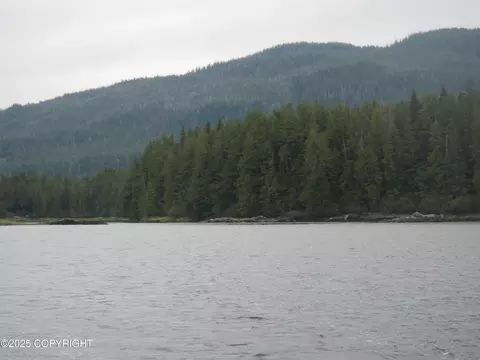 L8 B1 Thoms Place, Wrangell, AK 99929