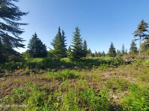 17561 Chefornak St, Ninilchik, AK 99639