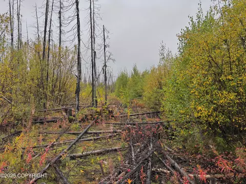 25914 W Rebecca Way, Willow, AK 99688