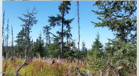 000 Wild Cotton, Anchor Point, AK 99556