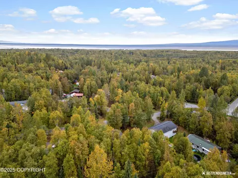 View/Area - 21049 Sparkle Dr, Chugiak, AK 99567 photo 4 of 5