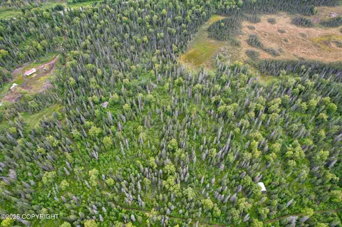 37403 Golden Rod Loop, Nikiskinorth Kenai, AK 99635