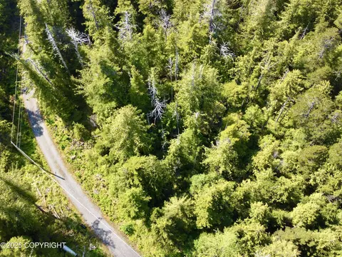 L5 Bowhead Loop, Coffman Cove, AK 99918