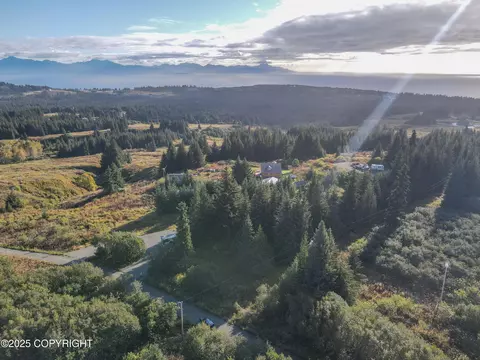 66711 Fry Ct, Homer, AK 99603