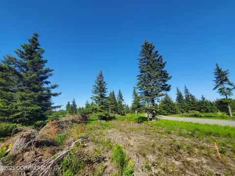 17573 Chefornak St, Ninilchik, AK 99556