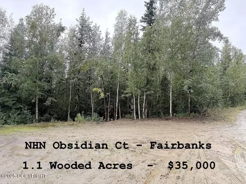 L12 B2 Obsidian Court, Fairbanks, AK 99709