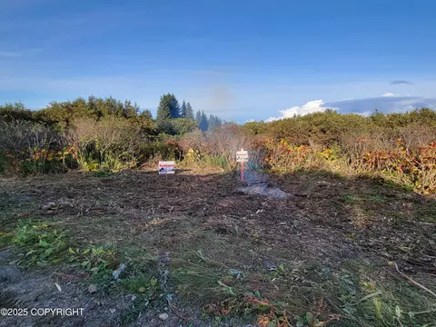 17338 Tidal Knoll Rd, Ninilchik, AK 99639