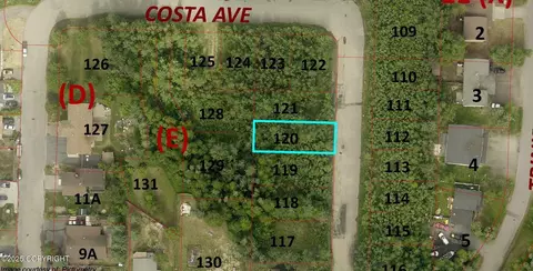 L120 Costa Avenue, Fairbanks, AK 99709