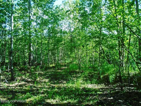 Tr 3 Park Drive, Chugiak, AK 99567