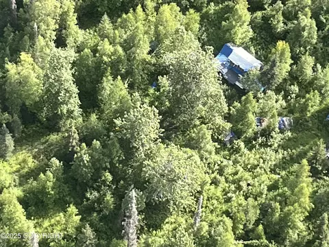 Nhn Asls 92-002, Skwentna, AK 99667