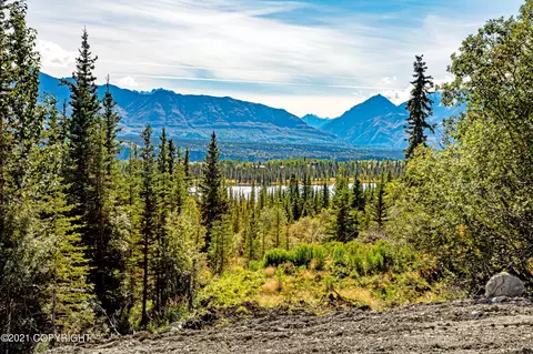 33681 W Arnica Ave, Chickaloon, AK 99674