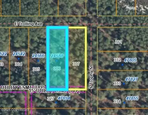 24588 E Trolling Ave, Willow, AK 99688