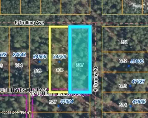 L307 E Trolling Avenue, Willow, AK 99688