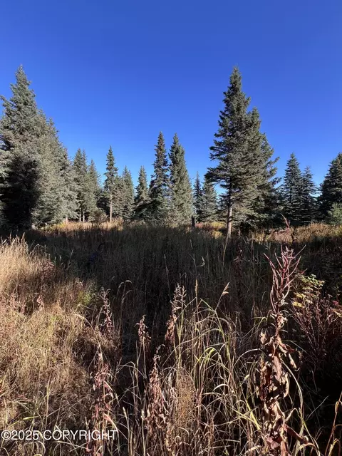 L6 Shegota Loop, Ninilchik, AK 99639
