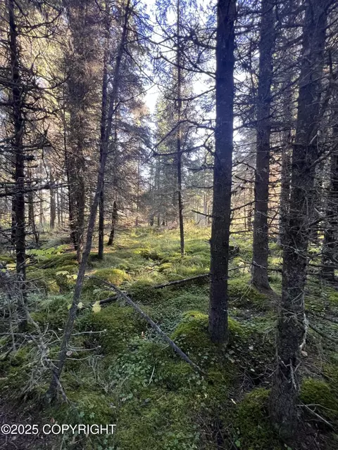 L7 Shegota Loop, Ninilchik, AK 99639