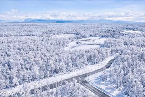 45269 S Upwind Cir, Willow, AK 99688