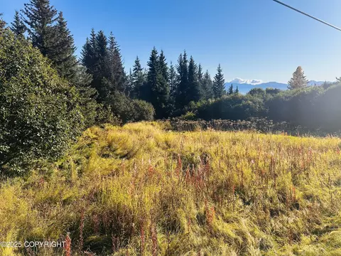 L1 B1 East End Road, Homer, AK 99603