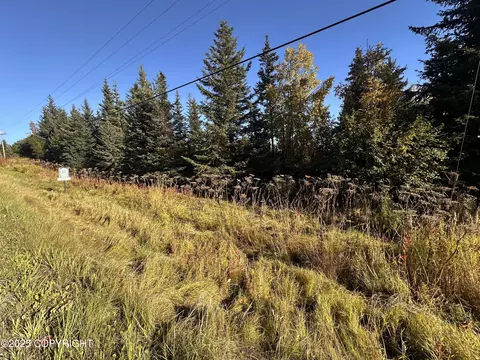 002 End Rd, Homer, AK 99603 photo 5