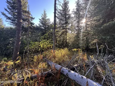 002 End Rd, Homer, AK 99603 photo 6