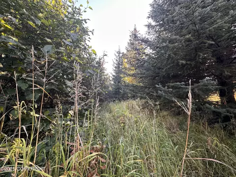 002 End Rd, Homer, AK 99603 photo 7