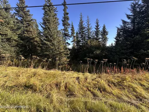 002 End Rd, Homer, AK 99603