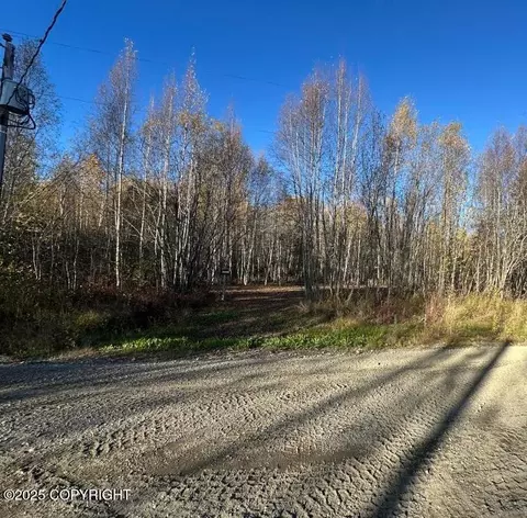 13275 W Maplewood Dr, Big Lake, AK 99652
