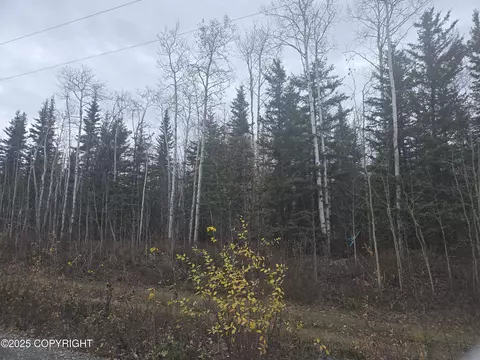 L3 B1 Brenden Boulevard, Copper Center, AK 99573