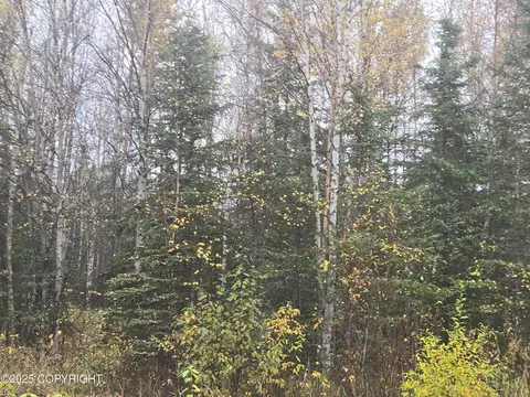 L3 B1 Brenden Boulevard, Copper Center, AK 99573