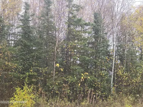 L4 B1 Brenden Boulevard, Copper Center, AK 99573