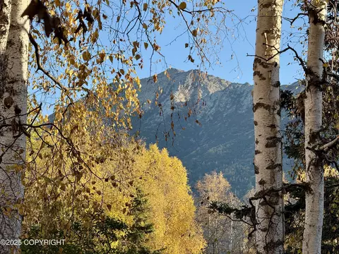 Other - 17749 Kiloana Cir, Eagle River, AK 99577 photo 5 of 5
