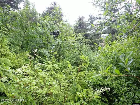 L3c Killisnoo Road, Angoon, AK 99820