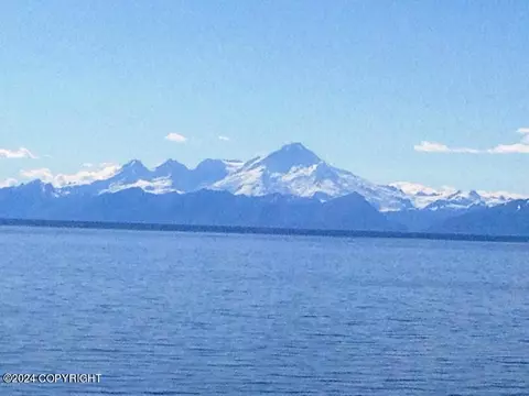 32675 Shorebird Ln, Anchor Point, AK 99556