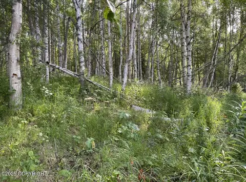 L3 Eight Mile, Skwentna, AK 99667