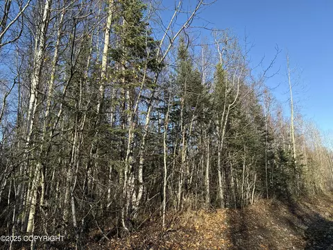 20135 E Caughtabigone Ave, Willow, AK 99688 photo 3