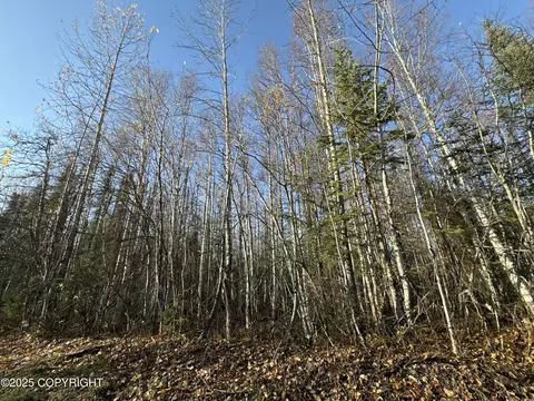 20135 E Caughtabigone Ave, Willow, AK 99688 photo 2