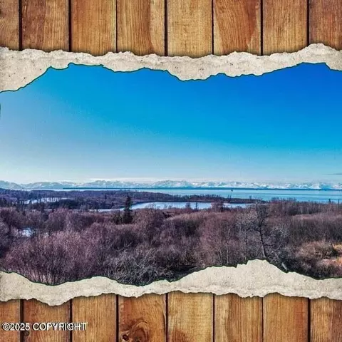 L5 B4 Blockade Glacier Road, Nikiskinorth Kenai, AK 99635