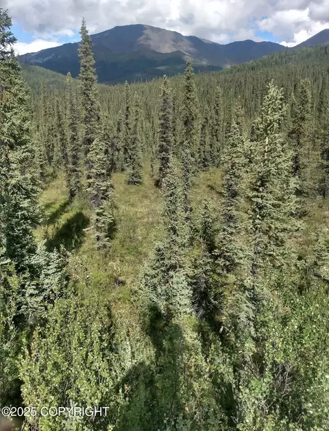 000 Remote, Slana, AK 99586