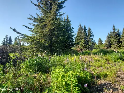 17589 Chefornak St, Ninilchik, AK 99639