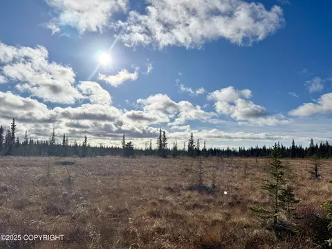 000 Tall Tree Ave, Anchor Point, AK 99556