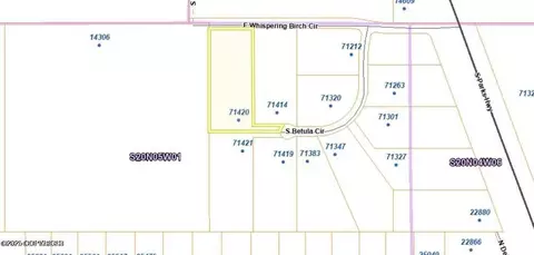 71420 S Betula Cir, Willow, AK 99688