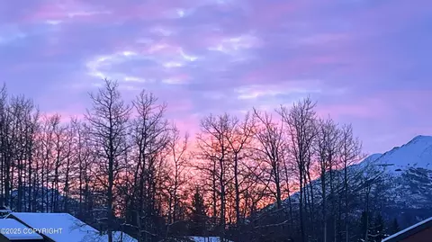 Other - 19244 Adak Cir, Eagle River, AK 99577 photo 30 of 38