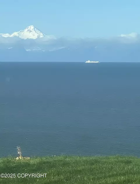 View/Area - 67480 Halibut Rd, Ninilchik, AK 99639 photo 2 of 11