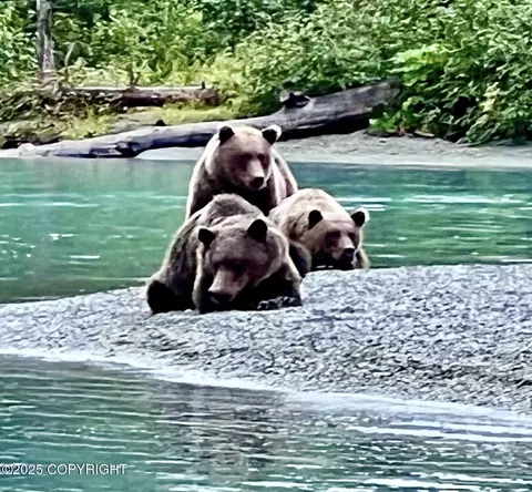 Other - 67480 Halibut Rd, Ninilchik, AK 99639 photo 35 of 40