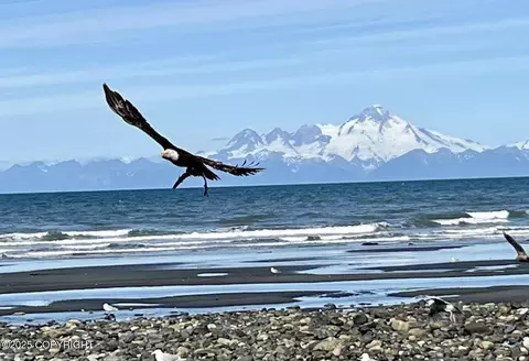 Other - 67480 Halibut Rd, Ninilchik, AK 99639 photo 6 of 40