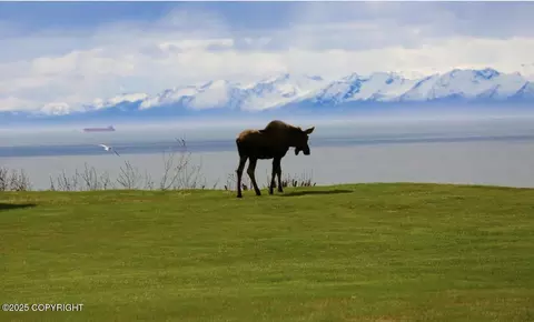 View/Area - 67480 Halibut Rd, Ninilchik, AK 99639 photo 3 of 11