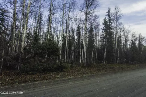 59737 S Grizzly Way, Willow, AK 99688
