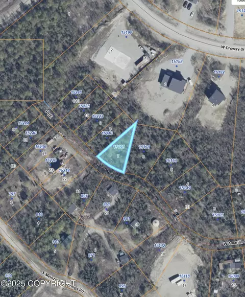 15195 W Amarillo Cir, Big Lake, AK 99652