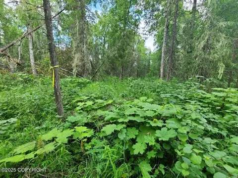L1-1 Chase 2, Talkeetna, AK 99676